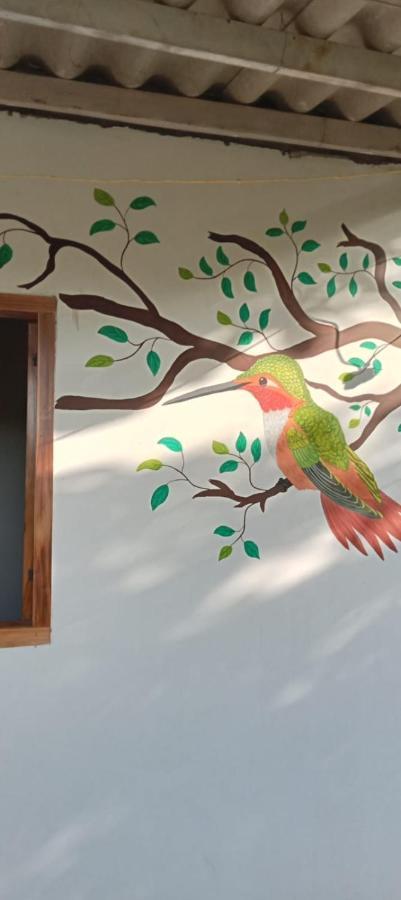 Sierra Kay Hostel Guachaca Szoba fotó